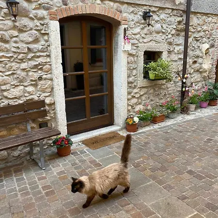 Dimora Belvedere - Rustico, Vista Lago, Wifi 公寓 *